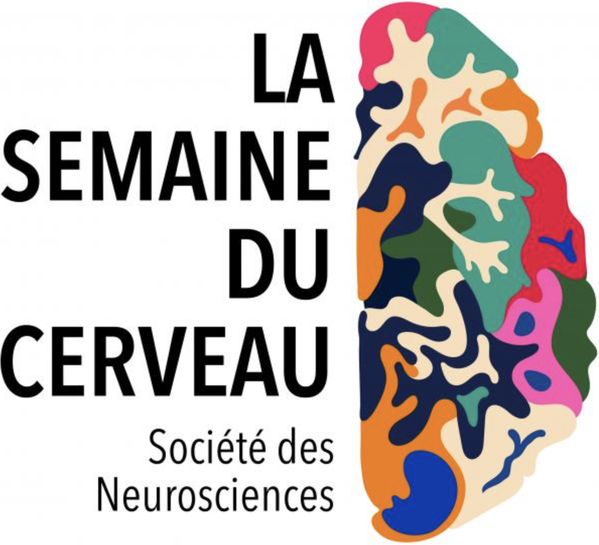 Journée Spéciale NeuroSciences : Semaine du Cerveau