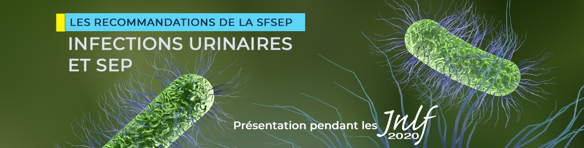 SEP et infections urinaires