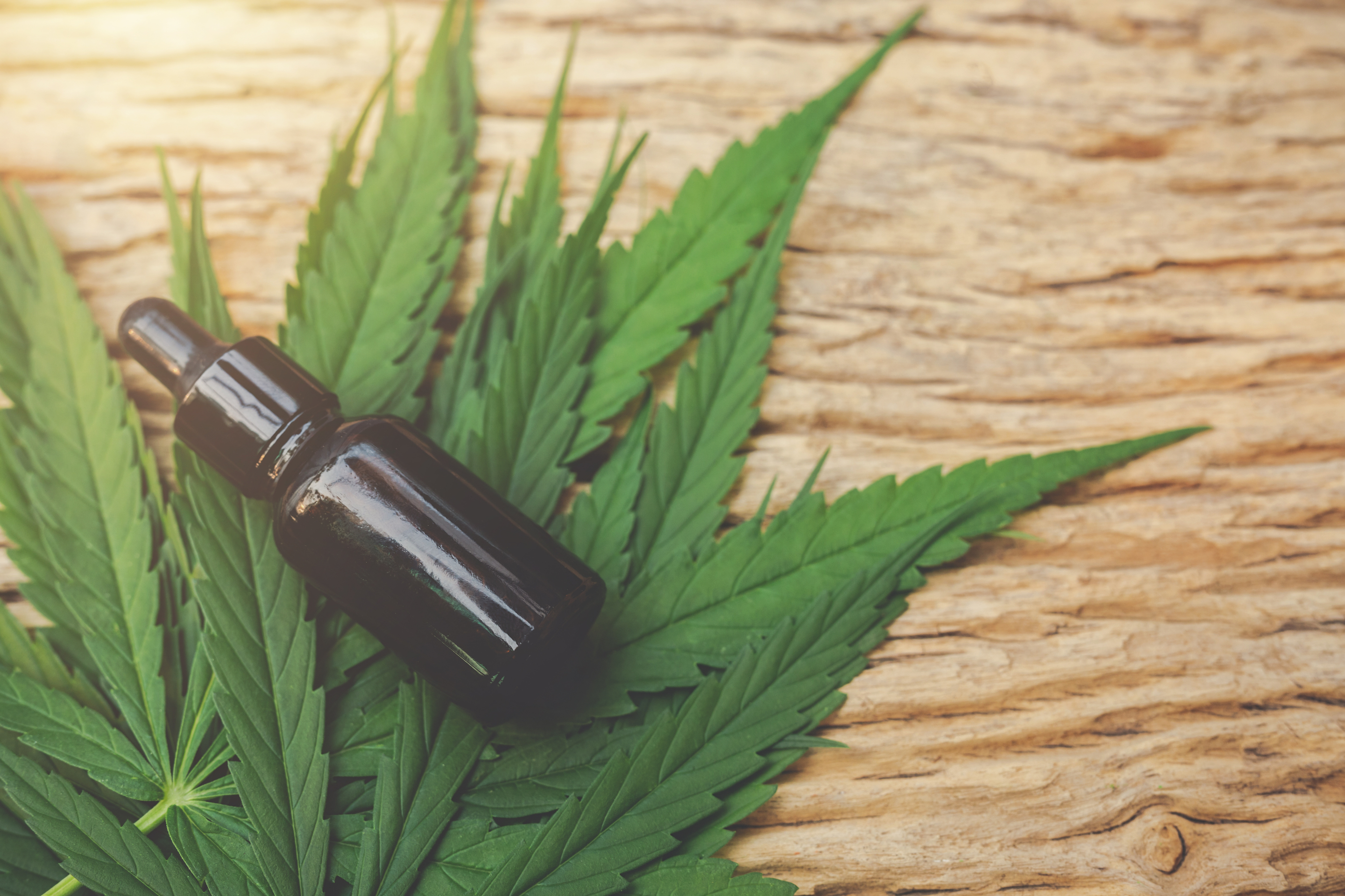 Cannabis pour les patients sclérose en plaques : enfin du nouveau !